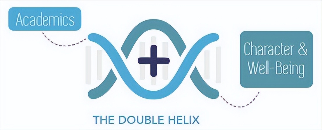 中小学心理健康教育的探索与实践,学校心理健康教育的组织与实施