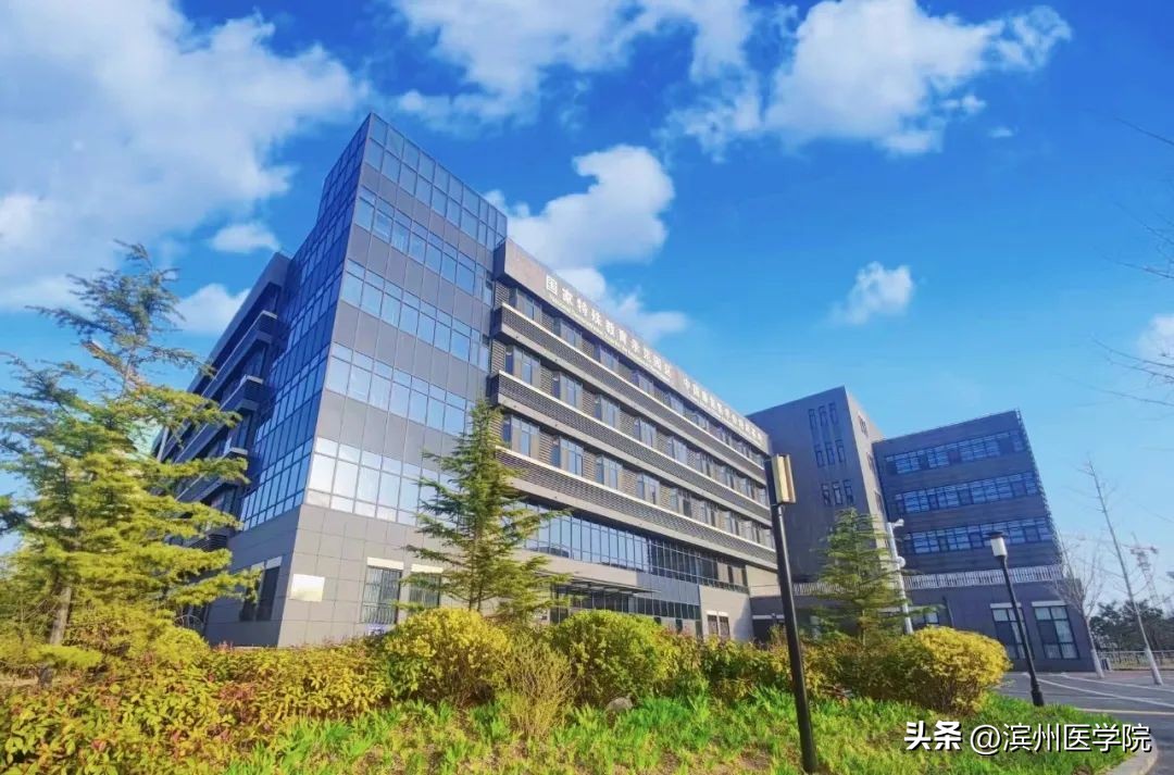 滨州医学院2023年本科招生计划,2020年滨州医学院招生计划一览表