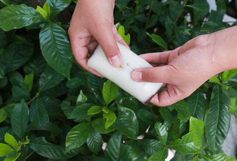 你想要的都在这里,南*夫子京**庙的美食