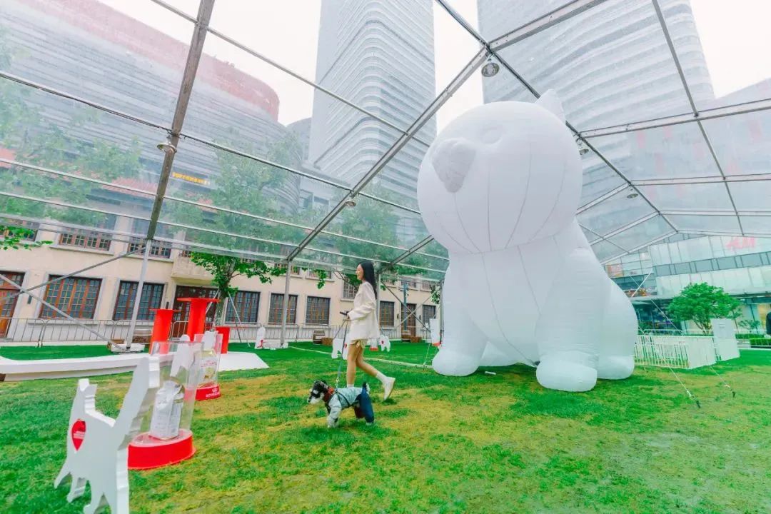 市区100平米宠物游乐园,宠物游乐场室内