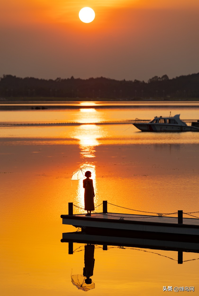 佳能eosr5镜头24-70,佳能r5和r6照相评测