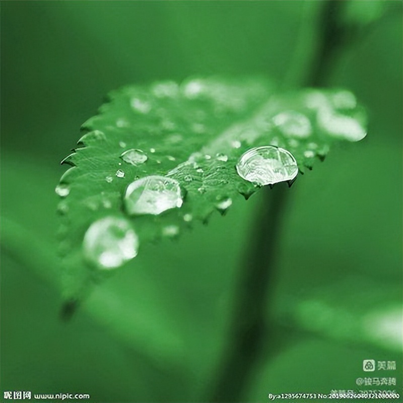 诗词中国135期征稿,诗词中国大赛获奖诗词作品