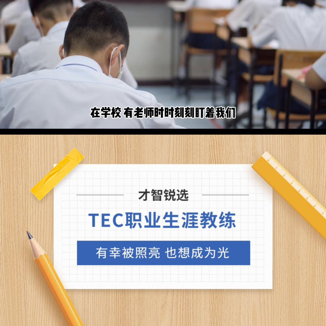 杨天真的在线职业规划,壹心娱乐杨天真采访职业规划