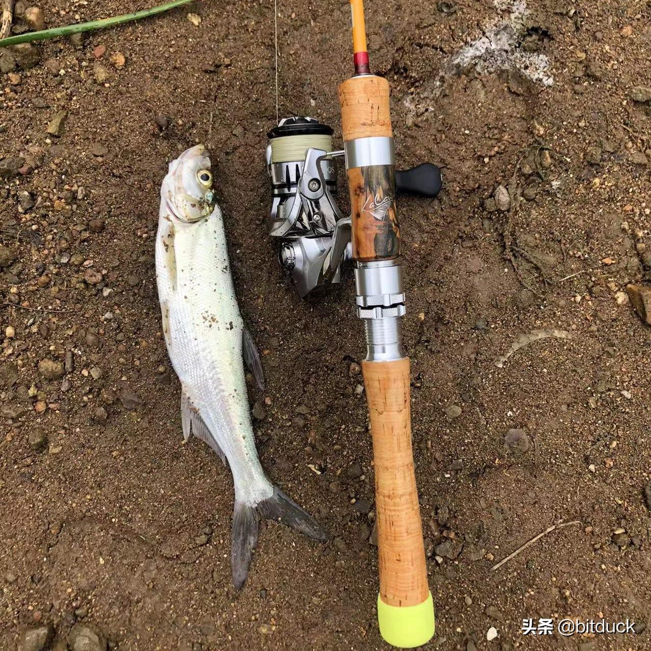 路亚钓鱼装备入门推荐,路亚钓鱼装备全套推荐