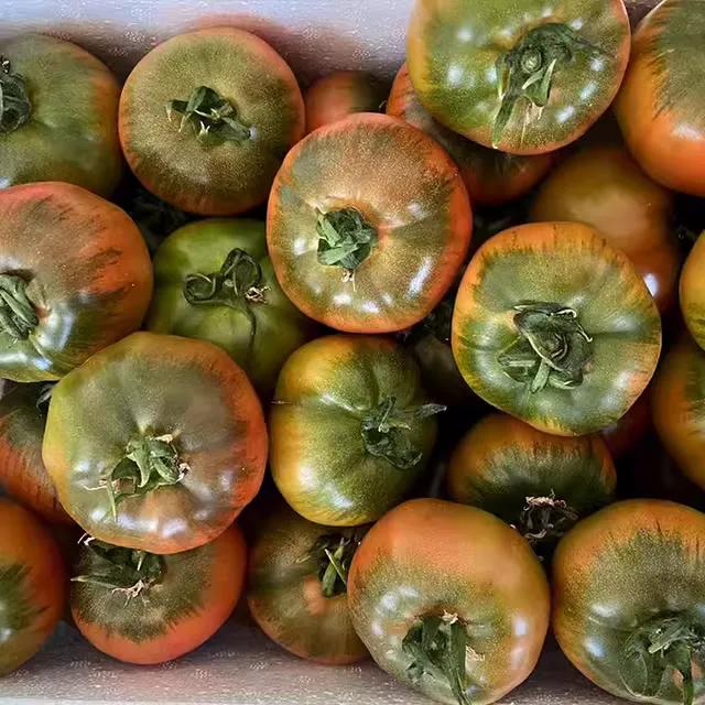 丹东东港旅游攻略自由行,丹东避暑游玩的地方推荐