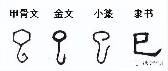 详解十二生肖中五行,详解十二地支所代表的含义