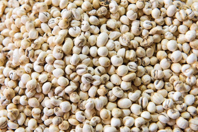 化痰止咳平喘药中药,平喘止咳化痰的药有哪些中药