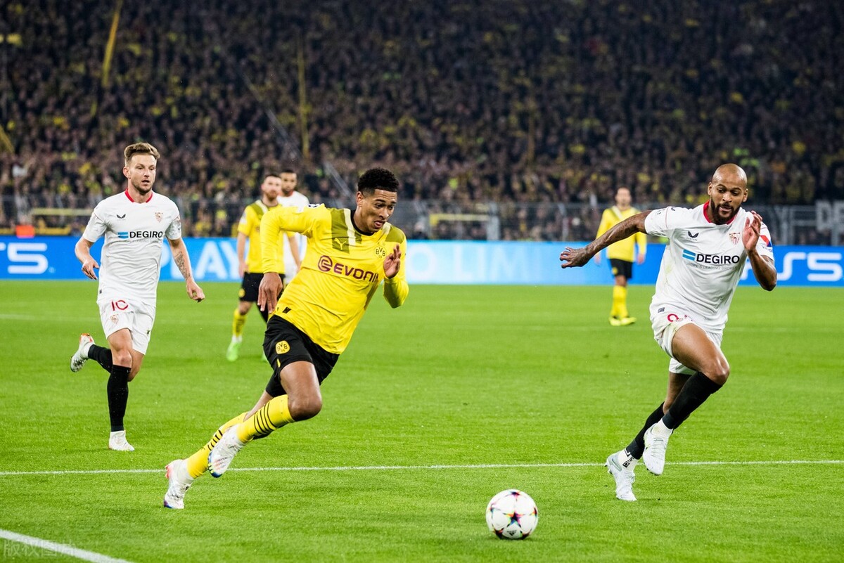 世界杯最值得期待的5位新星,维尼修斯捍卫荣耀、阿方索创造历史