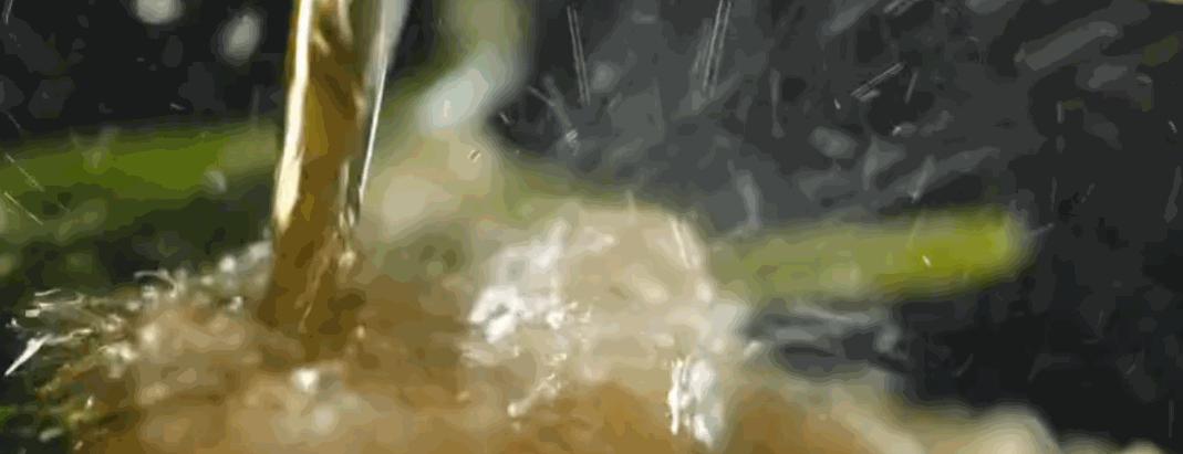 甘肃人一年四季都吃面为什么不胖,甘肃吃米还是面