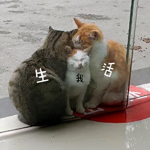 南方人的取暖难题,南北方人取暖的差异