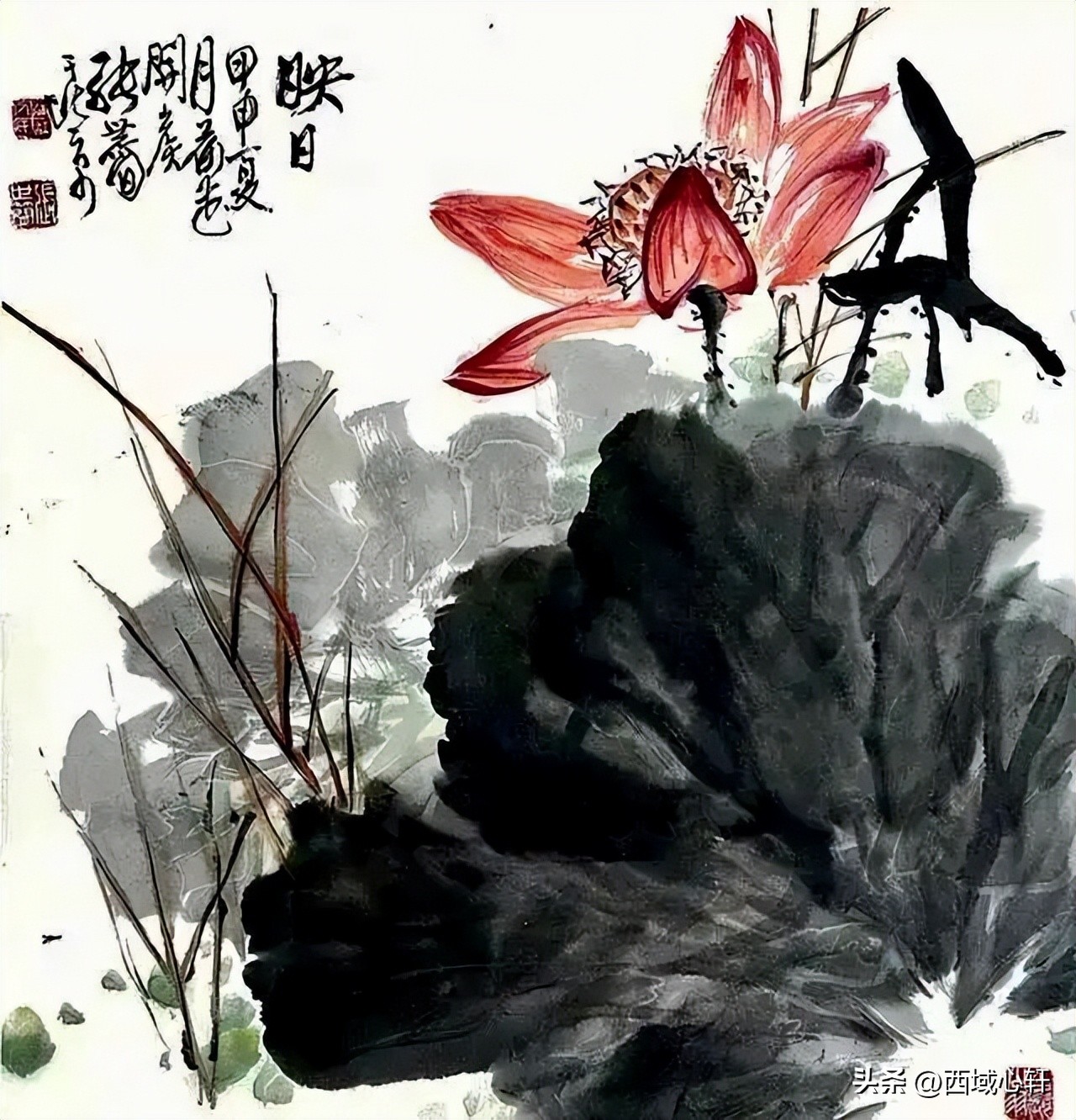 接天莲叶无穷碧映日荷花图片大全,莲叶无穷碧映日荷花别样红三幅图