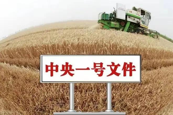 农村整治五类人将面临清查,乡镇能出台经营禁止令吗