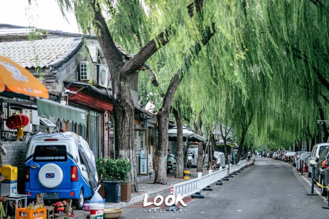 北京什刹海晚上游玩路线,北京什刹海风景秋天攻略