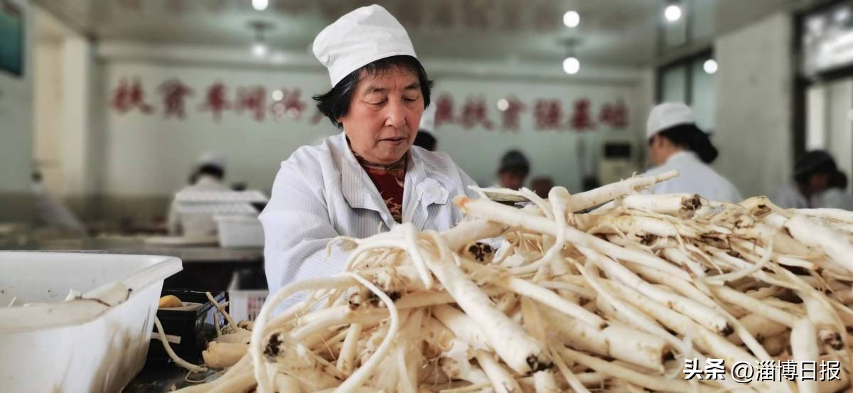 记者观察|合伙人思维为乡村“招贤纳士”！沂源县南鲁山镇创新做法破解乡村振兴发展困局