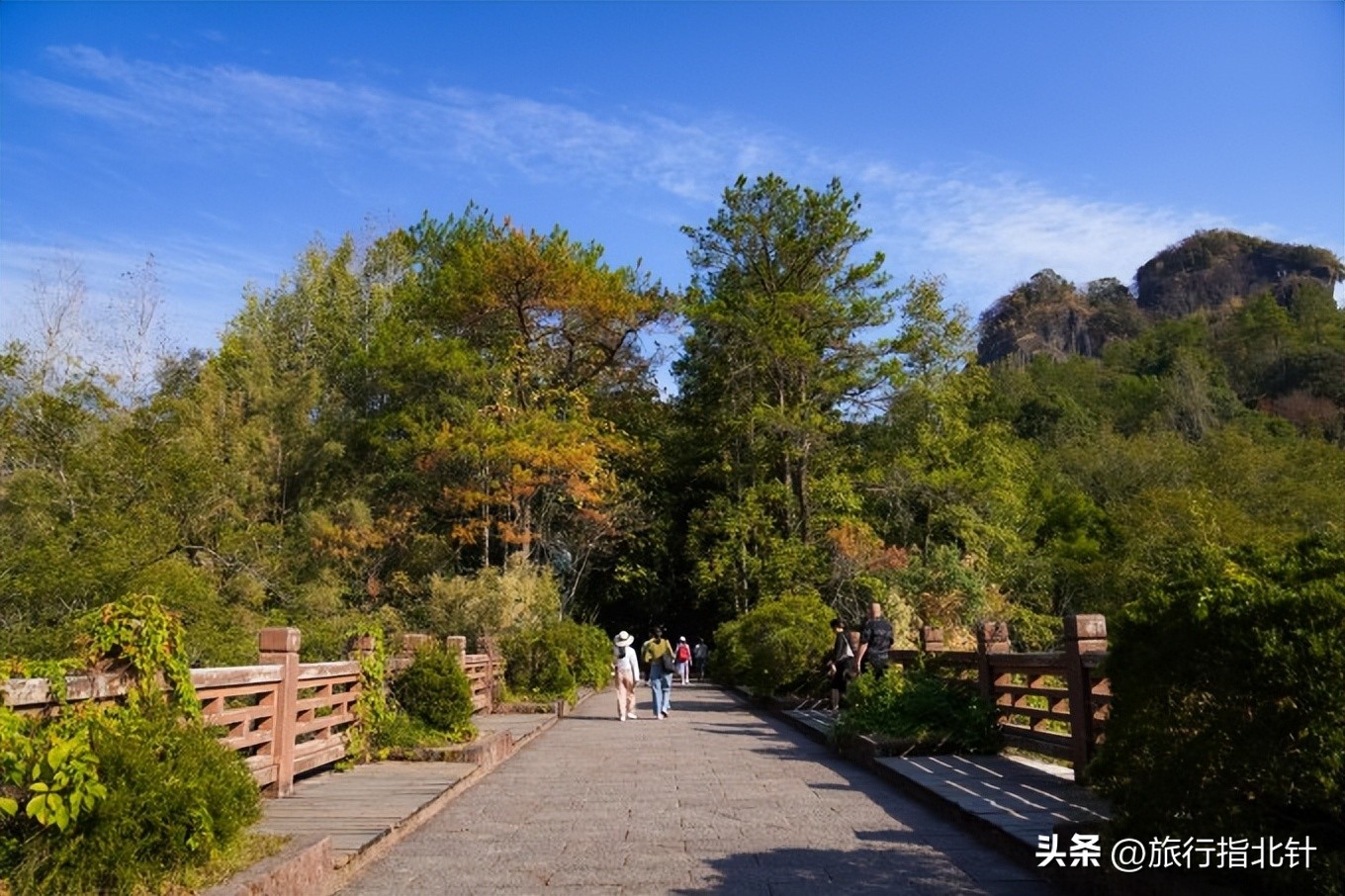 福建旅游攻略武夷山,福建武夷山旅游攻略一日游