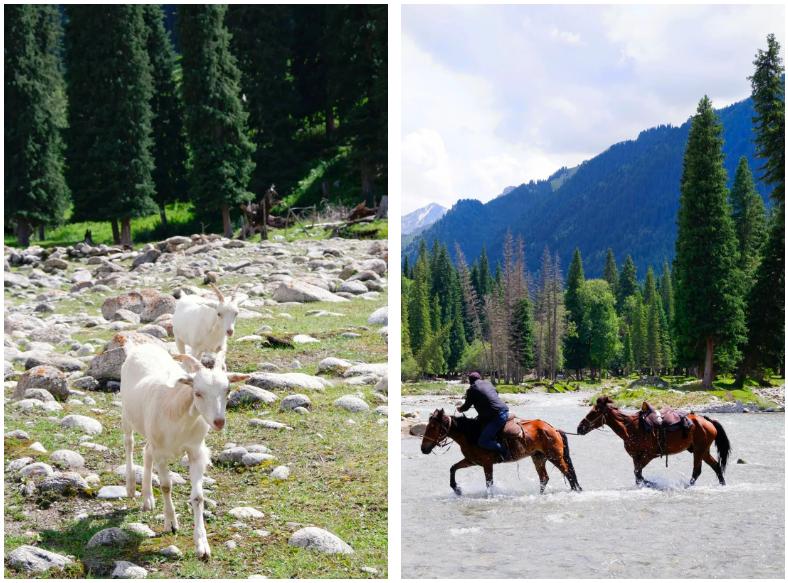 夏天凉快风景好又有水的旅游景点,夏天旅游景点哪里最好玩