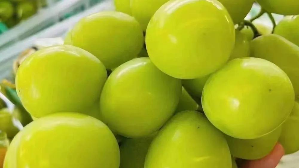 果蔬水果店的经营模式,如何介绍自己开的水果店