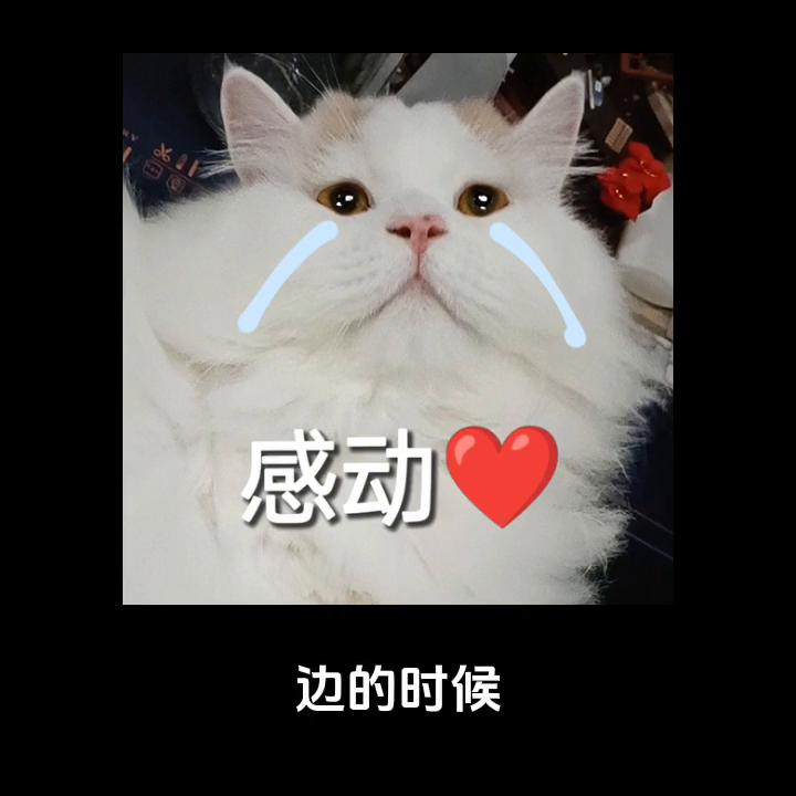 男朋友意外去世了，我要怎么才能见到他#情感