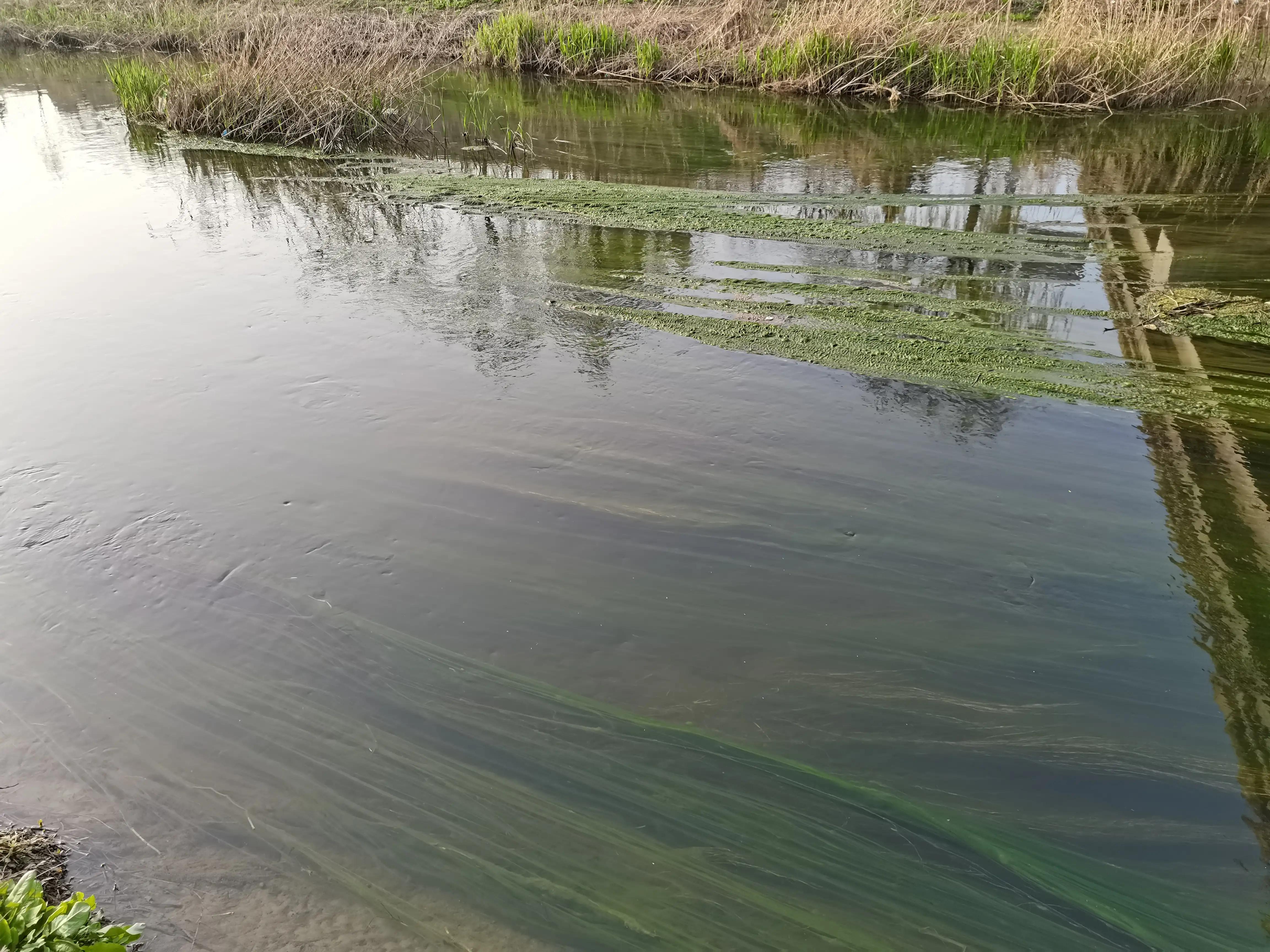 70年代化肥袋子做衣服,70年代用日本尿素化肥袋做裤子