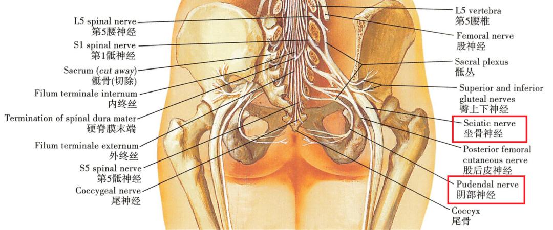 熊孩子拉凳子致人受伤,熊孩子拉凳子致同学受伤