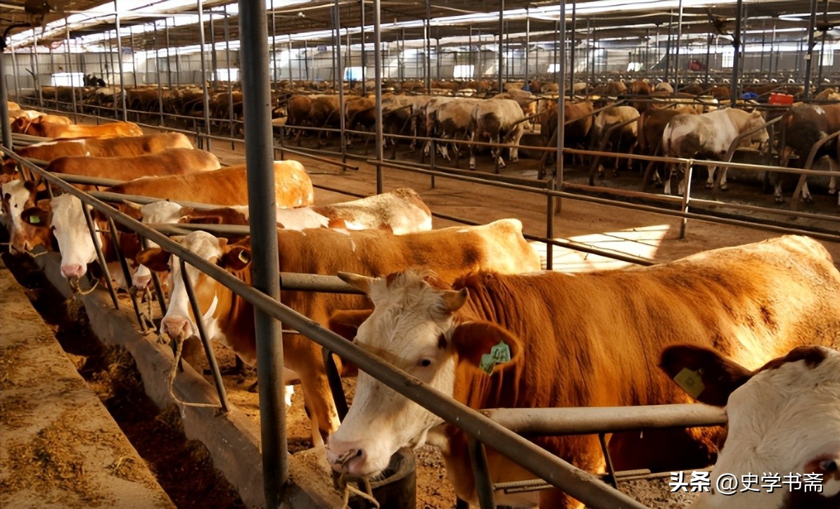 中国进口牛肉量开始呈爆发性增长,中国最新的牛肉进口价格