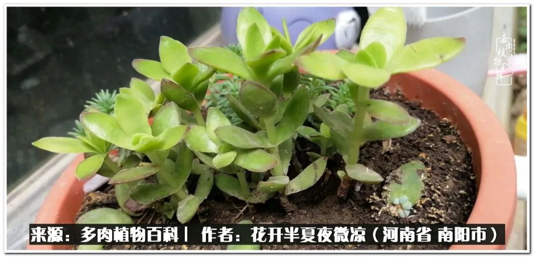 万事开头难只要坚持才有收获,万事开头难只要肯干就会有结果