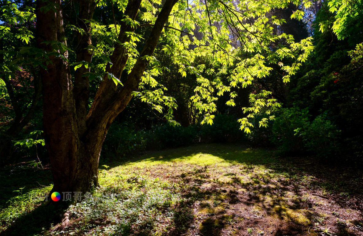旅行家的眼神，看到不一样的人文澳洲（四之一）