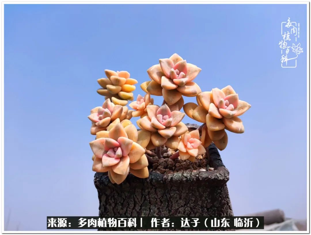 活在当下珍惜眼前平凡的生活,活在当下感慨万千