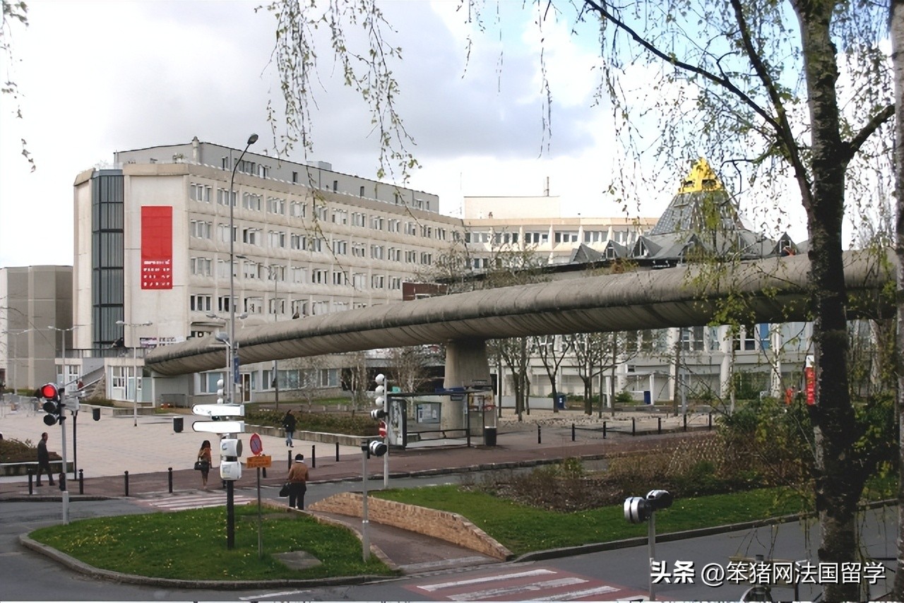 笨猪法语中文,笨猪法语