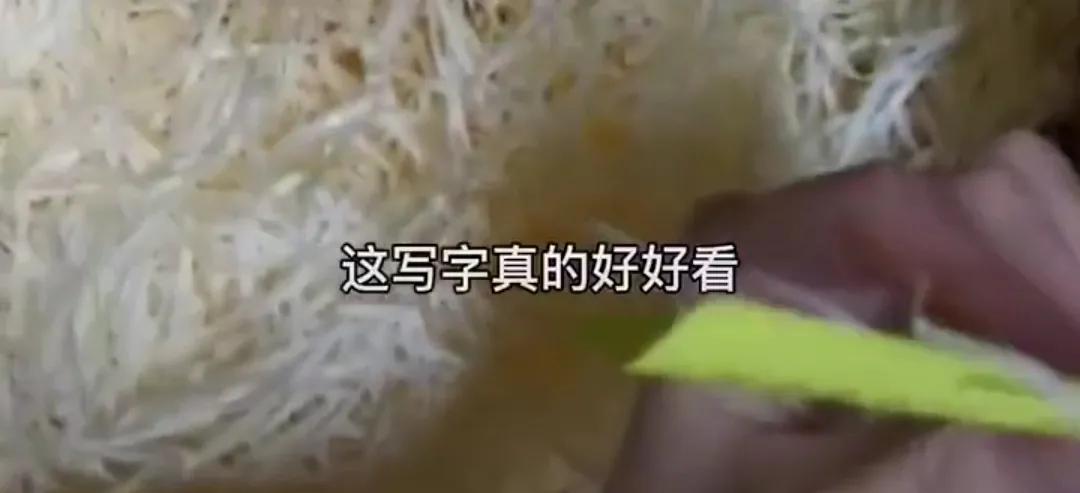 沸沸扬扬的“六周年拉菲草”，到底是什么？