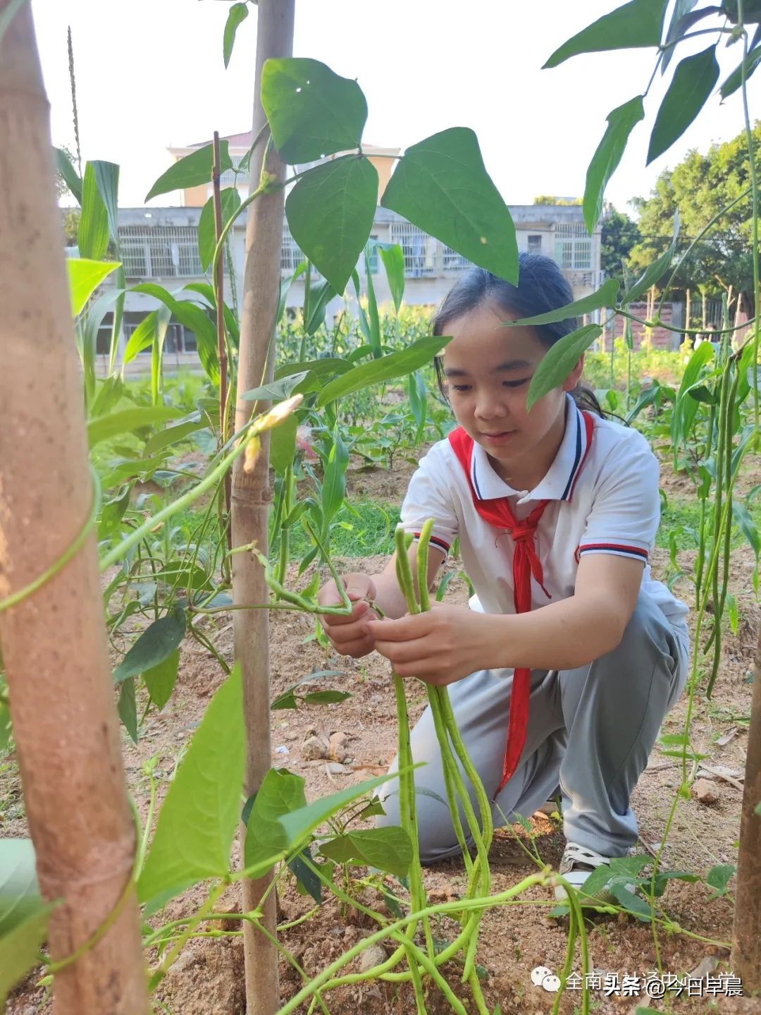 全南县社迳中心小学：用爱成就有温度的“双减”