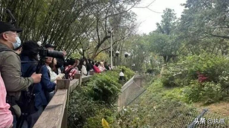 旅游井喷式发展,旅游经济全面爆发