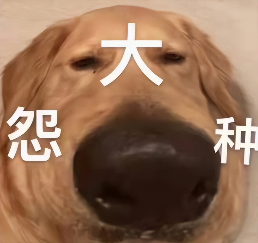 美国单身辣妈网恋假帅哥被威胁p裸照！逃脱后遇照片真人甜蜜热恋