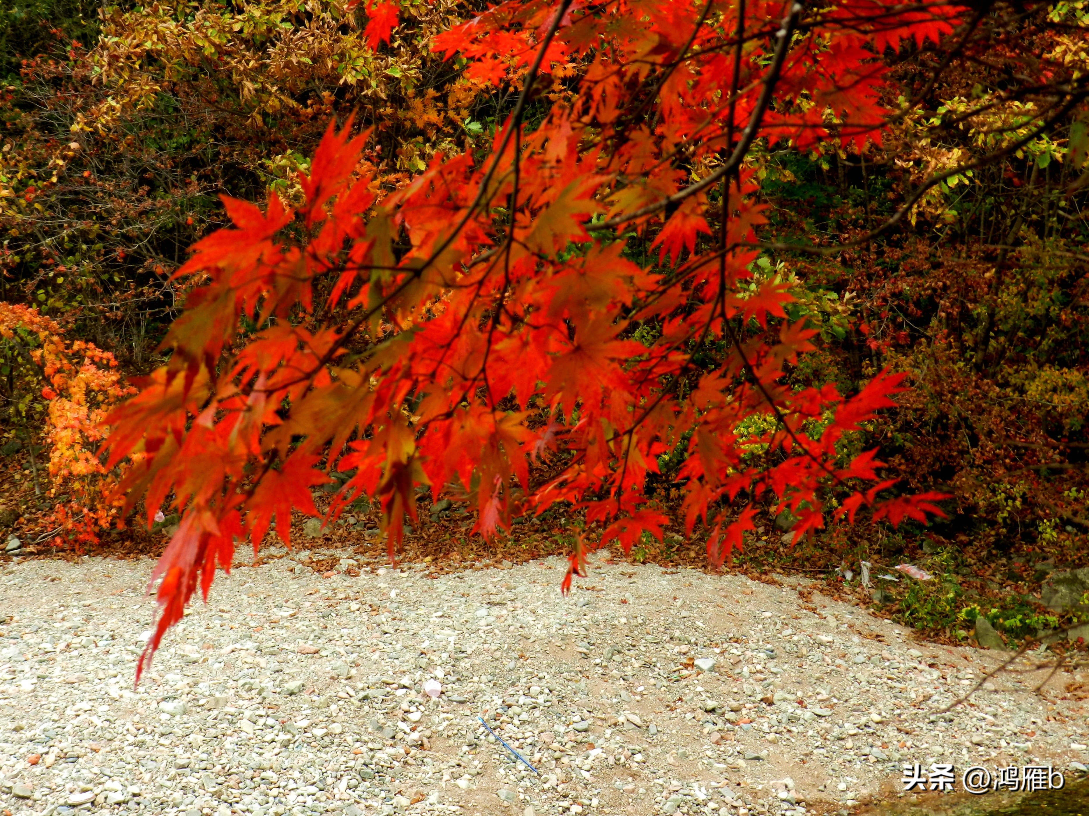 本溪温泉汤沟门票价格,本溪花溪沐枫雪温泉小镇