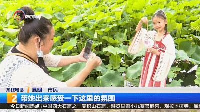 精心打扮出去拍照,大观公园荷花拍照技巧