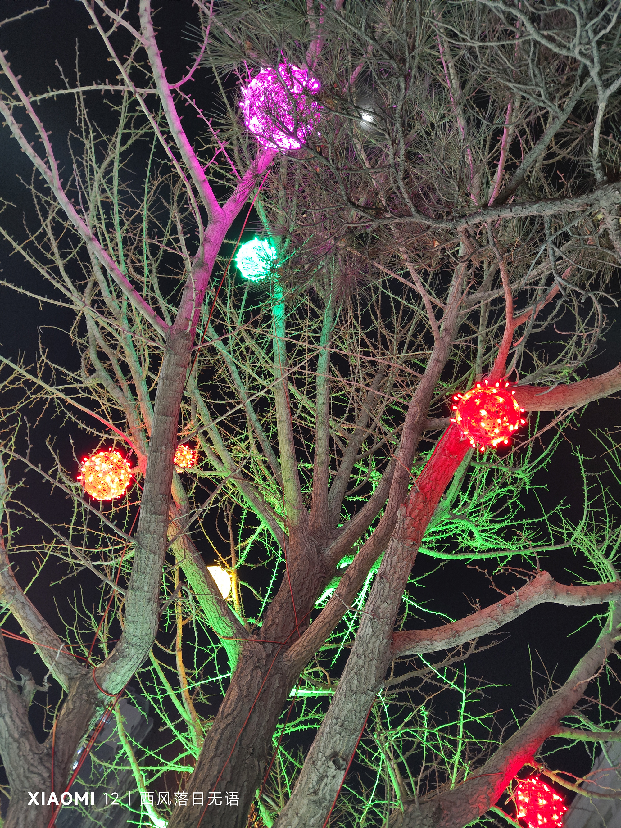 小米12哪一款更值得入手,小米12还值得入手么最新