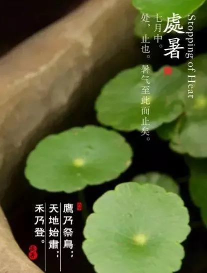 秋分节气里还会有秋老虎吗,秋老虎一般在什么节气前后
