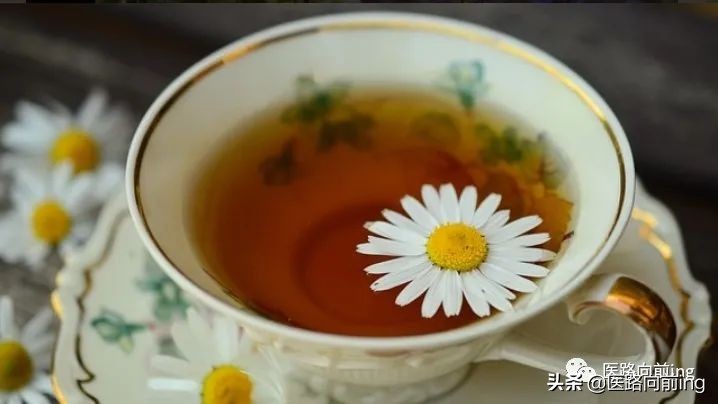 头发经常掉发用什么精华,总是掉头发喝什么茶