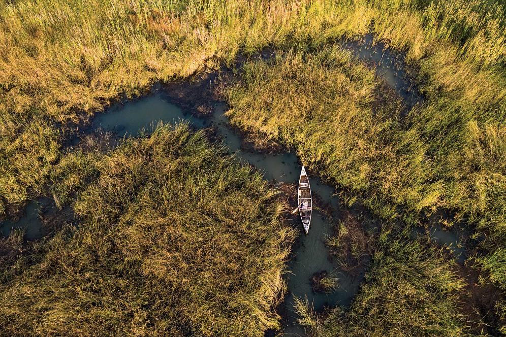 被中国人遗忘和淘汰了的“米弟米妹”，却被老外高价卖到了国内