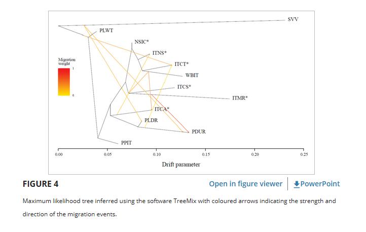 西西里尼罗猪的全基因组群体在意大利和世界性品种的框架