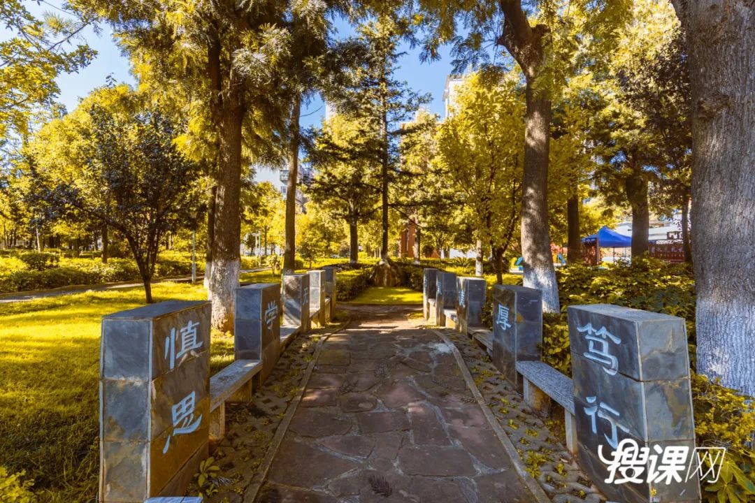 秋季限定|昆明九所学校，送你诗意校园里的一抹金