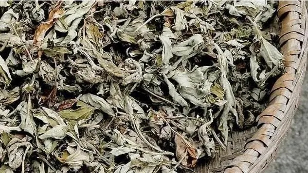 看病记2终于拆线了，医生却说我反应迟钝，检查结果却让人很无语