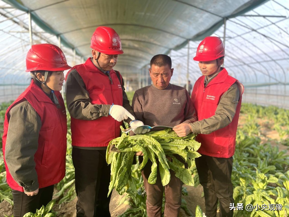 2019河南驻马店确山县文化艺术展,老区脱贫展新姿图片