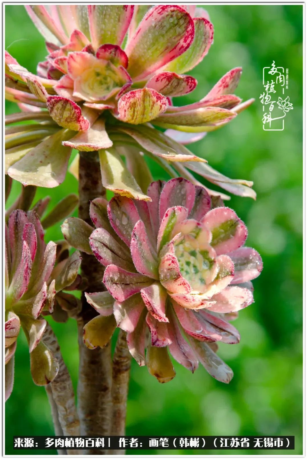 每个人的身旁都要有太阳,每个人都有一颗太阳