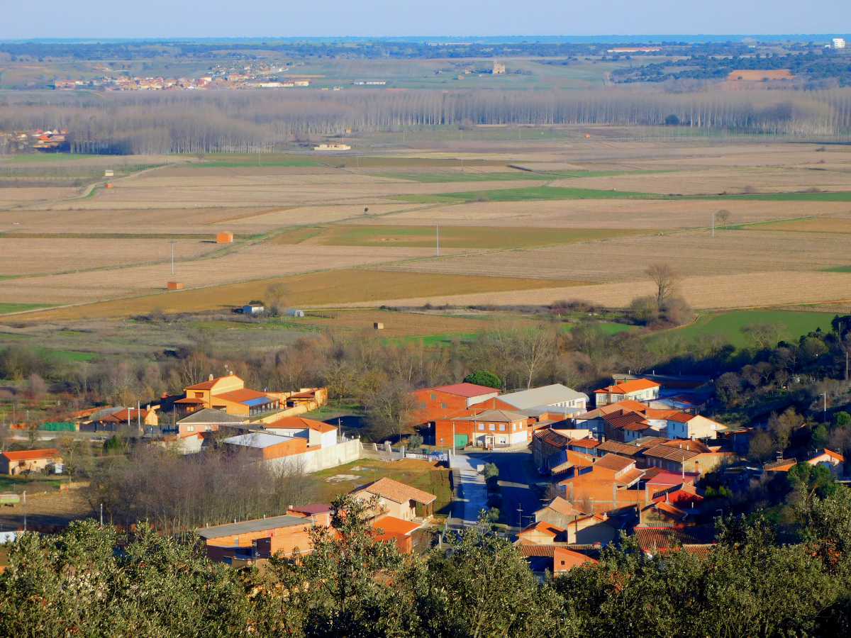未来农村七大变化,农村未来的四大惊人变化