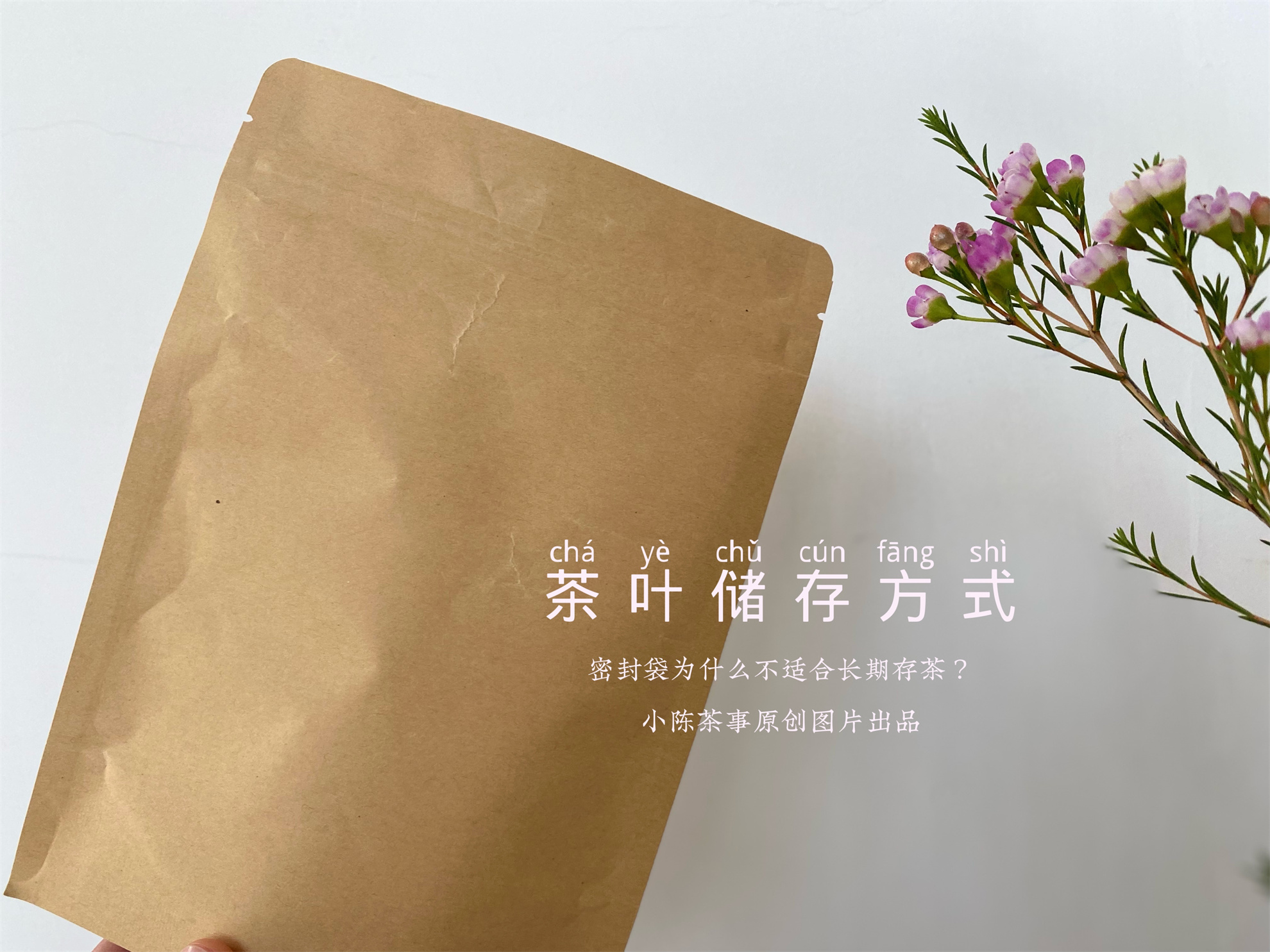 用防潮袋密封存茶可以吗,密封袋里的茶怎么储存