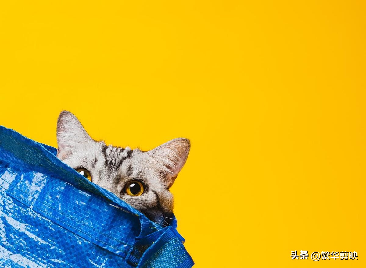 笑抽筋的搞笑幽默段子,幽默段子经典笑话笑到抽筋