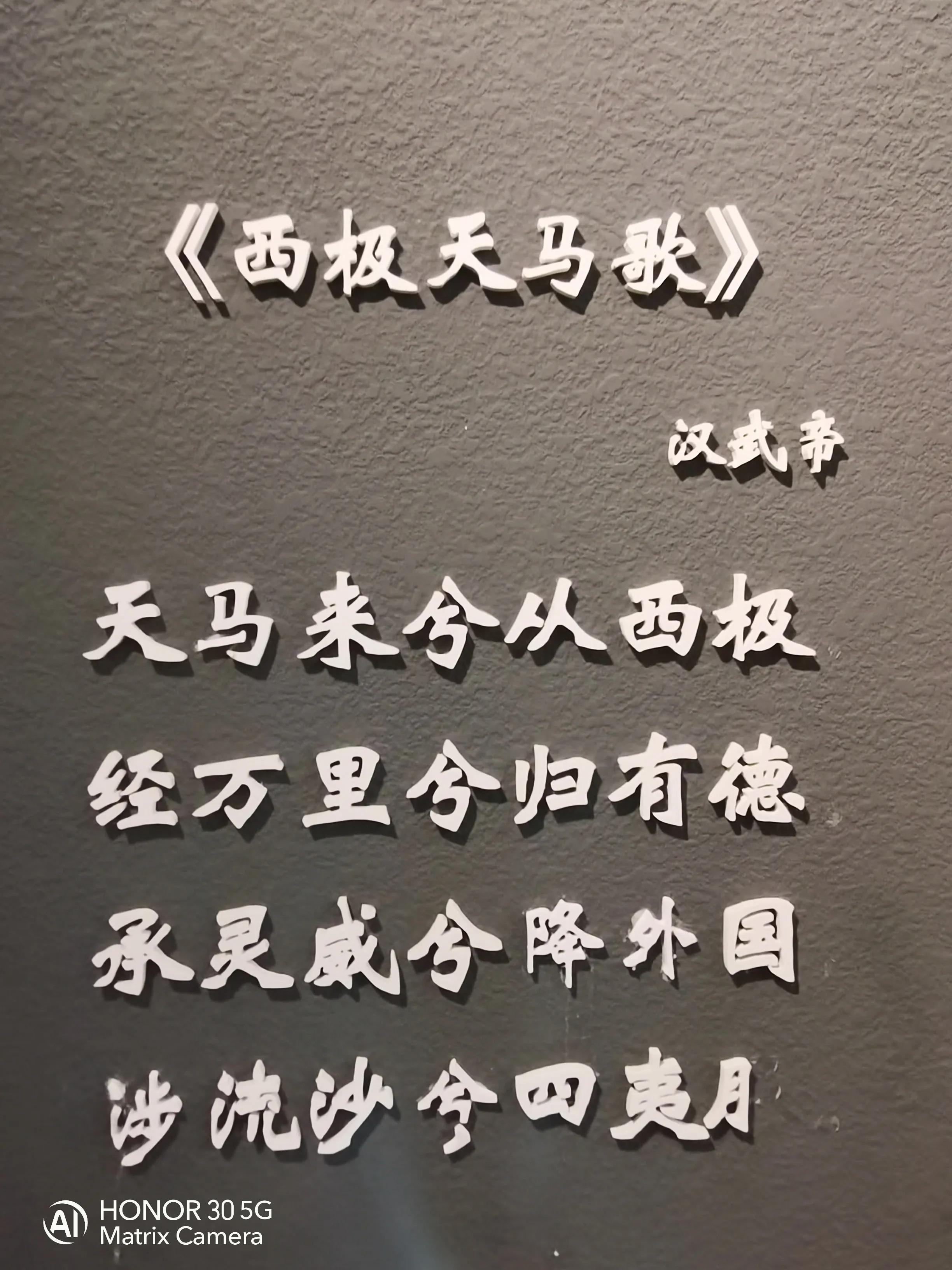 我要去新疆完整版视频,霍尔果斯口岸贸易区攻略