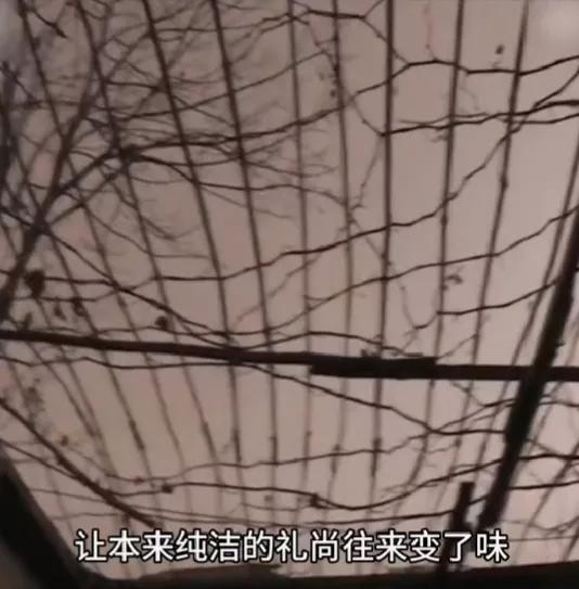 男子遭刺杀其妻被劫持,38岁男子刺杀28岁出轨男子