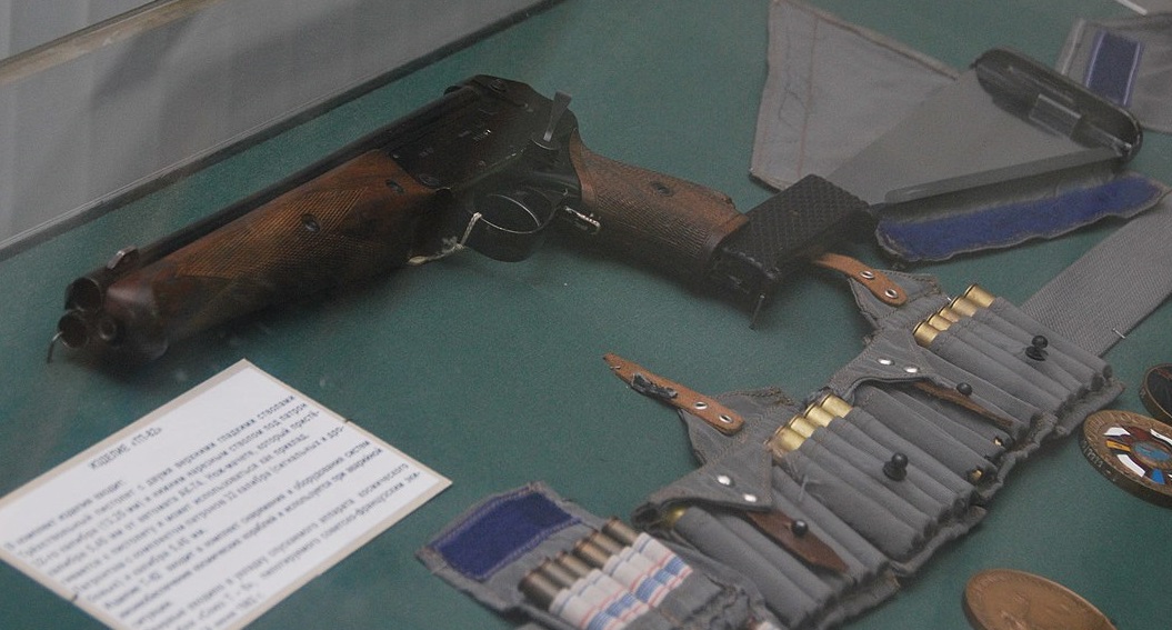 加蓬黑脸猩猩,加蓬长尾猴图片